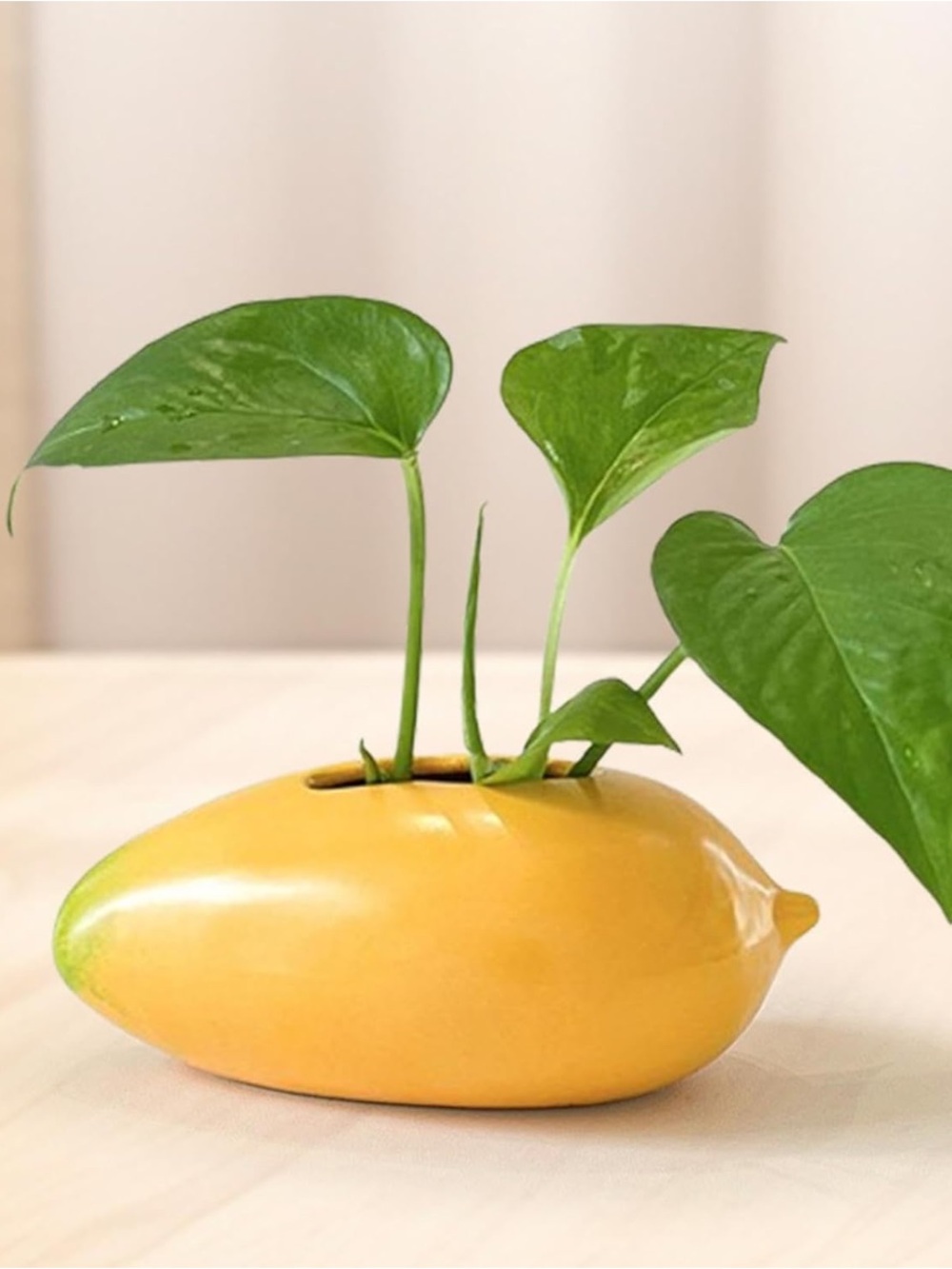 Yellow Ceramic Mango Planter